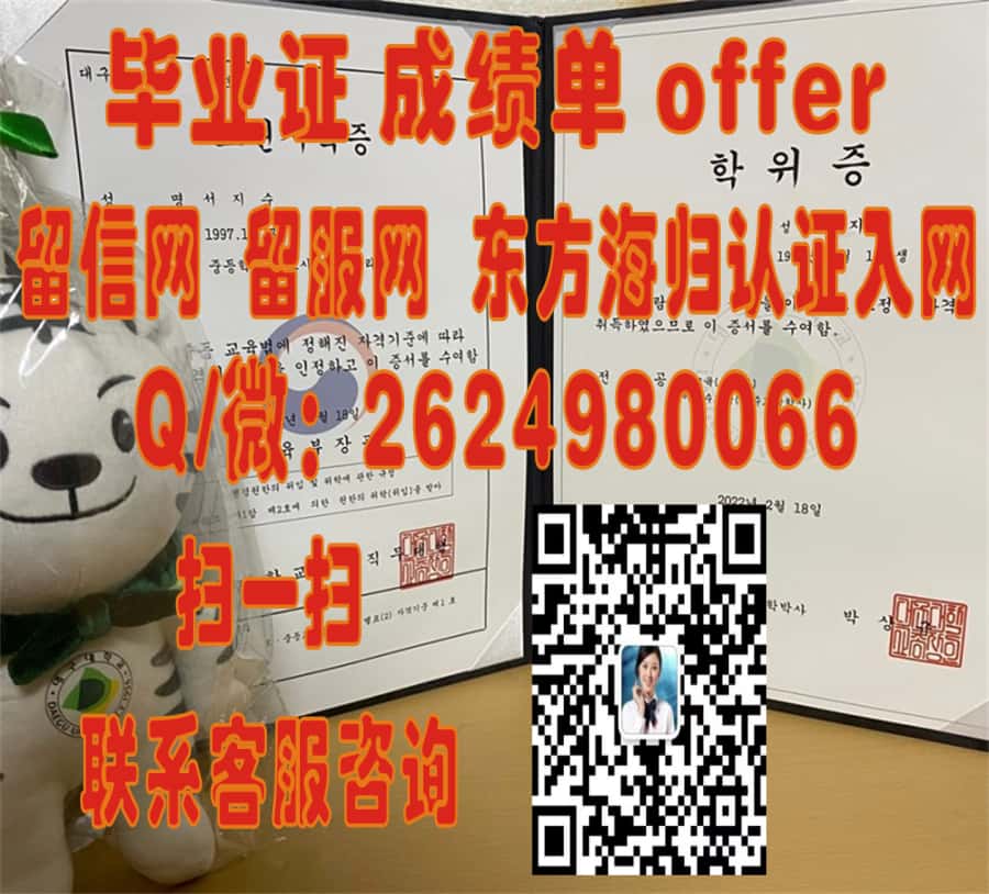 釜山国立大学毕业证 - 海外大学毕业证|文凭|成绩单|学位证书模板图片样本