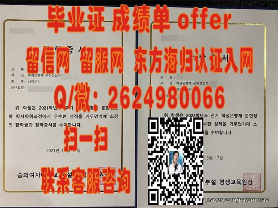 韩国釜山大学外壳海外大学毕业证|文凭|成绩单|学位证书模板图片样本