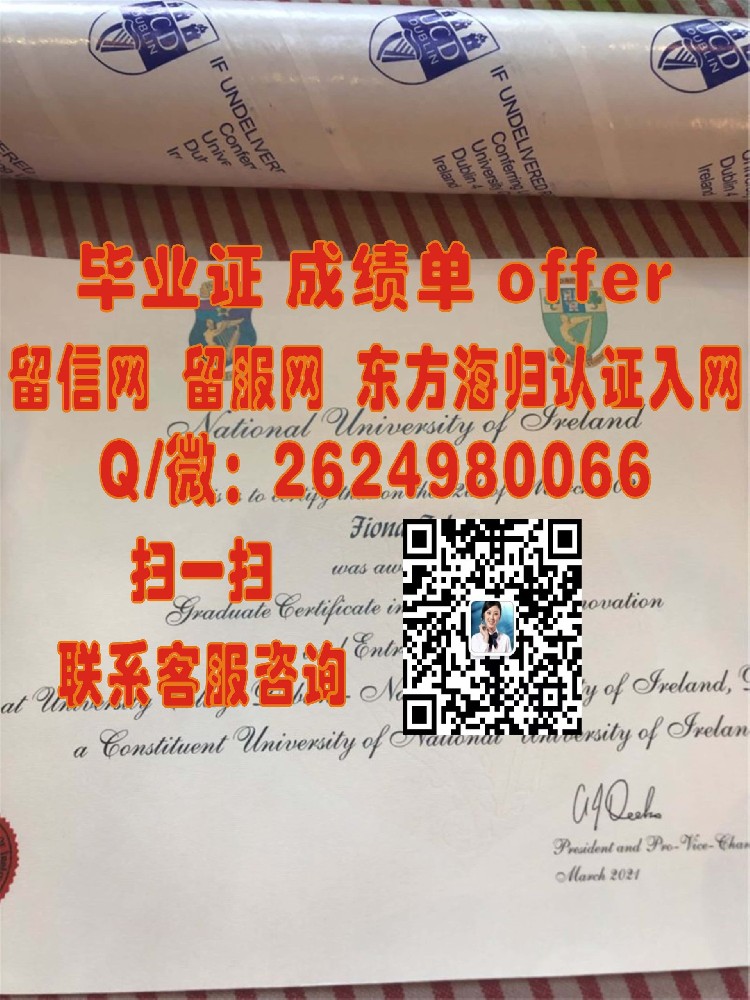 都柏林城市大学海外大学毕业证模板图片样本