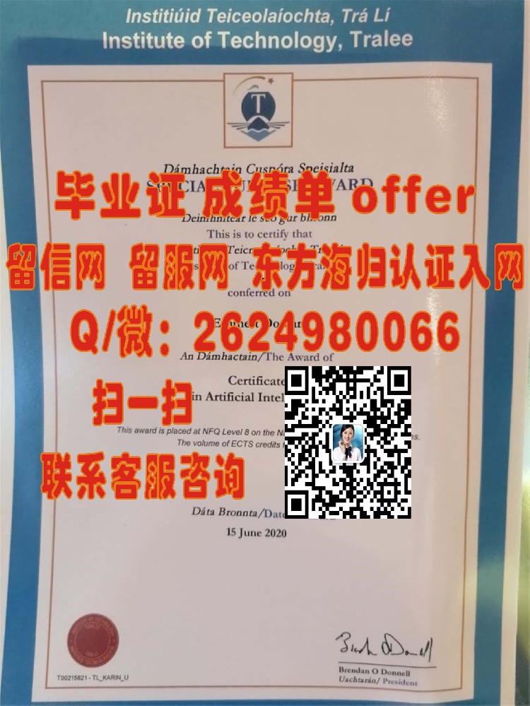 都柏林城市大学海外大学毕业证模板图片样本