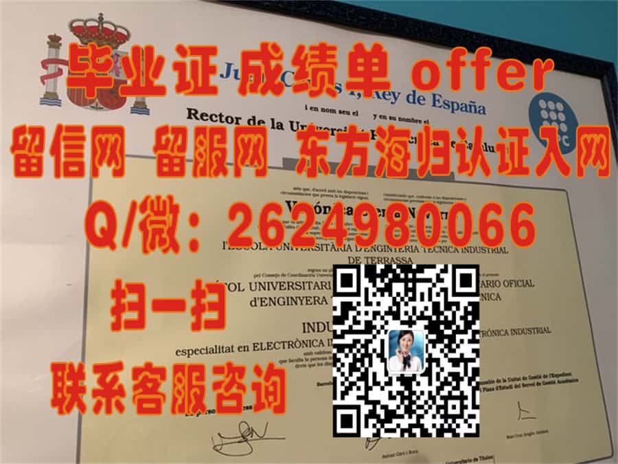 阿尔梅里亚大学毕业证文凭样本海外大学毕业证|文凭|成绩单|学位证书模板图片样本