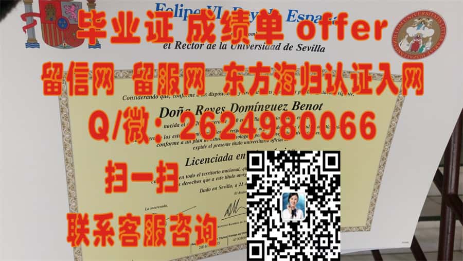马德里理工大学毕业证文凭样本海外大学毕业证|文凭|成绩单|学位证书模板图片样本