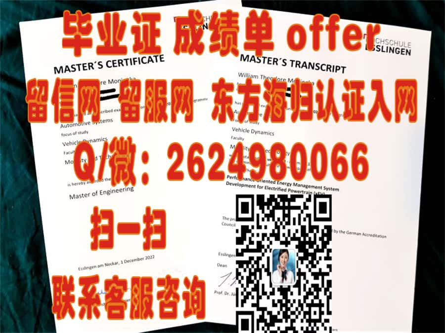 奥芬堡大学海外大学毕业证|文凭|成绩单|学位证书模板图片样本