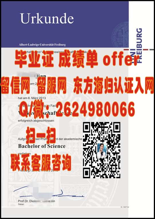 柏林经济与法律学院海外大学毕业证|文凭|成绩单|学位证书模板图片样本