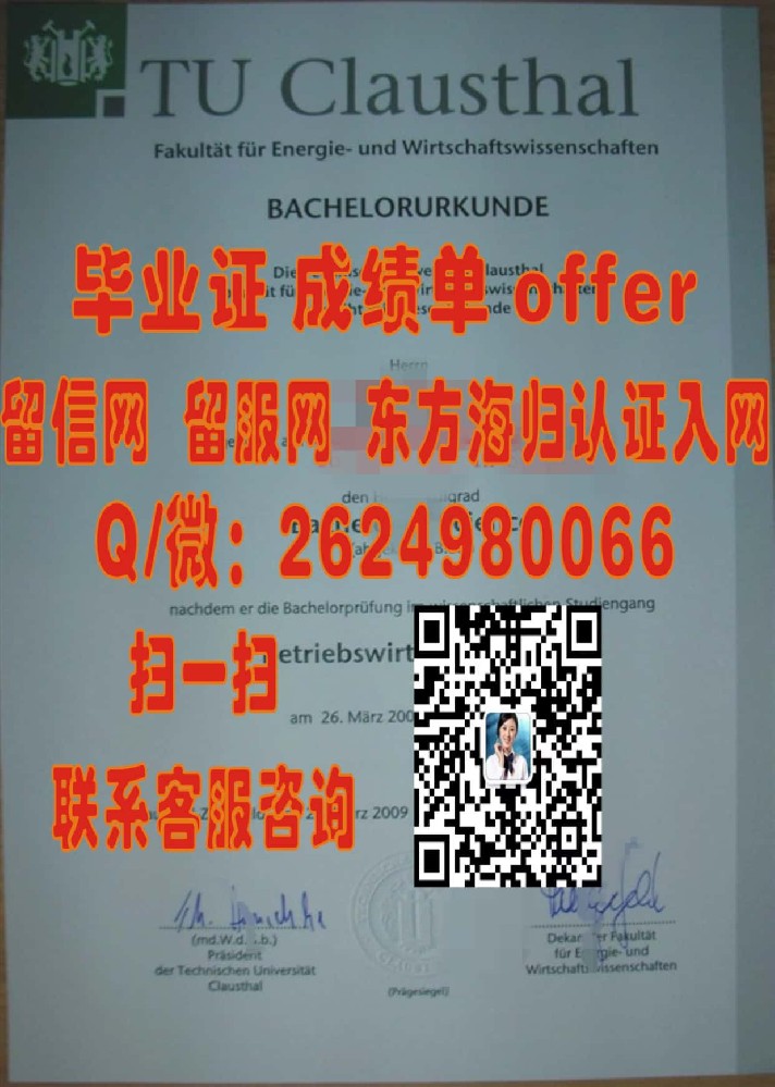 达姆施塔特工业大学海外大学毕业证|文凭|成绩单|学位证书模板图片样本