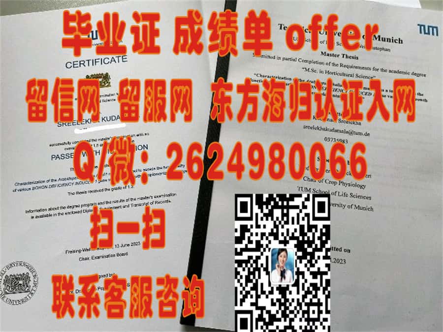 德根多夫技术大学海外大学毕业证|文凭|成绩单|学位证书模板图片样本