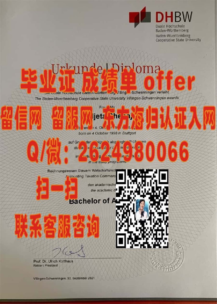 德国波恩大学实拍海外大学毕业证|文凭|成绩单|学位证书模板图片样本
