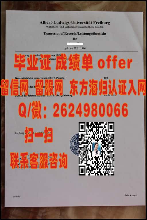 德国弗赖堡大学成绩单海外大学毕业证|文凭|成绩单|学位证书模板图片样本