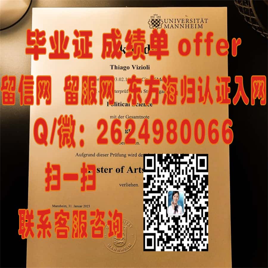 德国克劳斯达尔大学海外大学毕业证|文凭|成绩单|学位证书模板图片样本