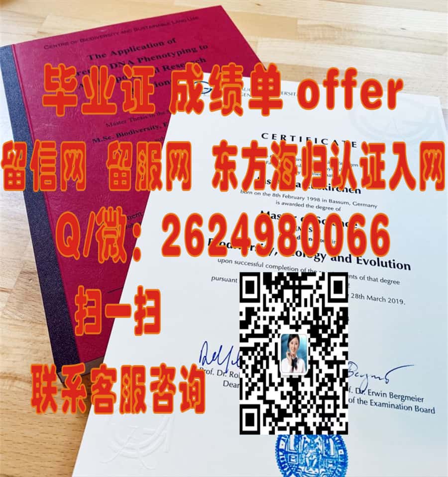 汉堡大学海外大学毕业证|文凭|成绩单|学位证书模板图片样本
