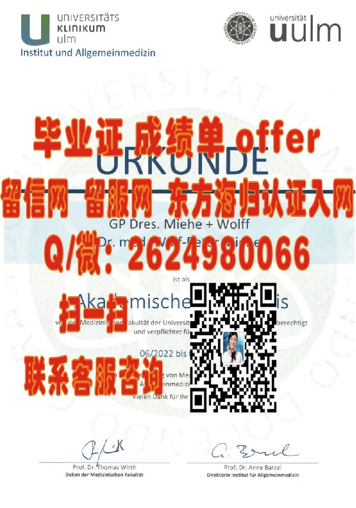 德国明斯特大学海外大学毕业证|文凭|成绩单|学位证书模板图片样本