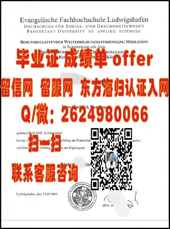 德国萨克森 安哈尔特大学毕业证海外大学毕业证|文凭|成绩单|学位证书模板图片样本