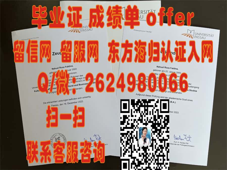 德凯泽斯劳滕工业大学全套1海外大学毕业证|文凭|成绩单|学位证书模板图片样本