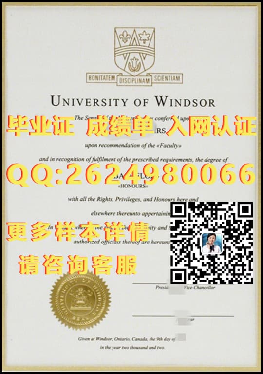 北岛学院海外大学毕业证|文凭|成绩单|学位证书模板图片样本