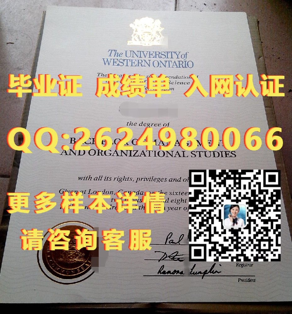 布鲁克大学海外大学毕业证|文凭|成绩单|学位证书模板图片样本