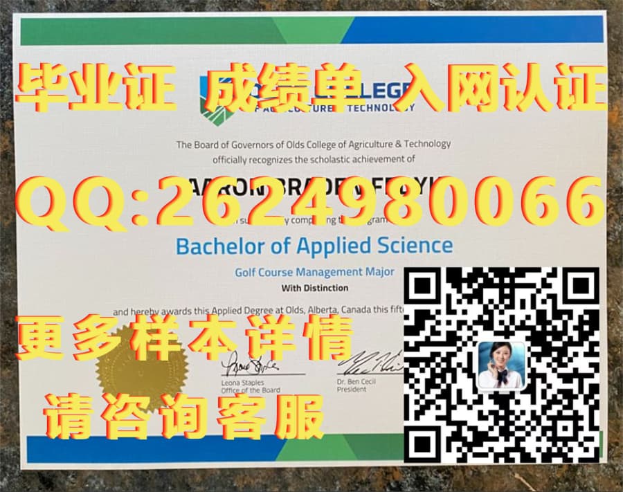 极光学院海外大学毕业证模板图片样本
