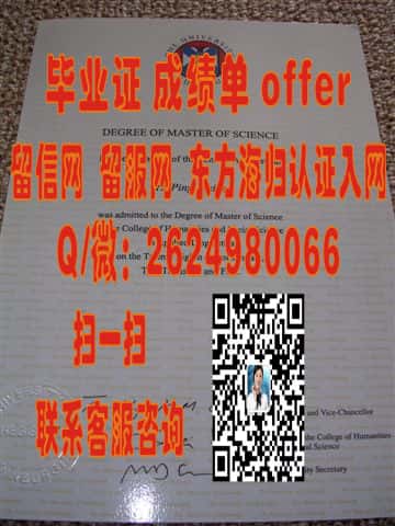 提兹塞德大学毕业证海外大学毕业证|文凭|成绩单|学位证书模板图片样本