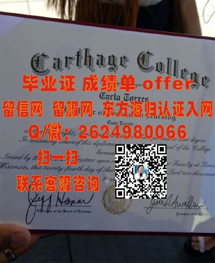 《揭秘芝加哥艺术学院毕业证样本：探索艺术殿堂的荣誉凭证新篇章》