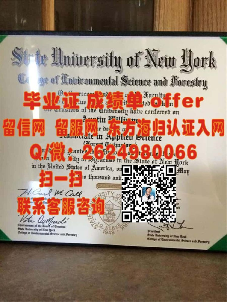 《揭秘南佛罗里达大学官方毕业证样本：全新设计诠释学术荣耀》