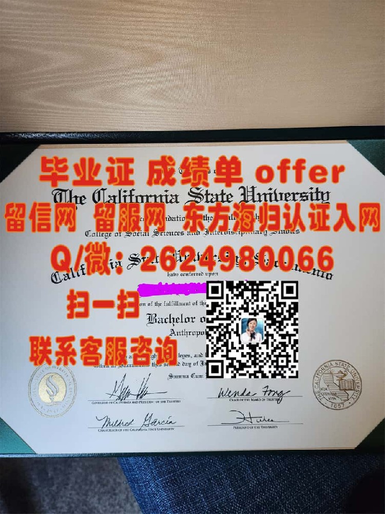 《揭秘缅因大学法明顿分校毕业证样本：探索全新留学成就证明》
