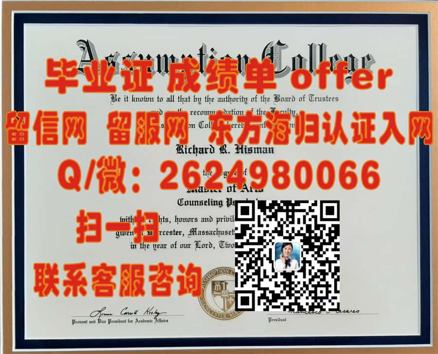 《揭秘首都大学全新毕业证样本：设计理念与创新亮点解读》