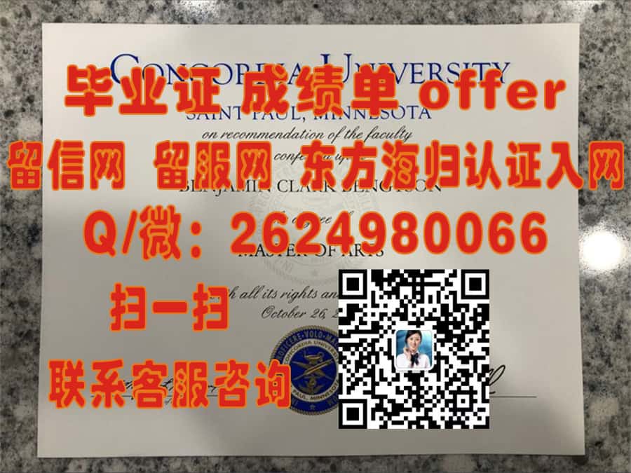 《揭秘波恩大学学位证样本：德国顶尖学府的荣誉证书全解析》