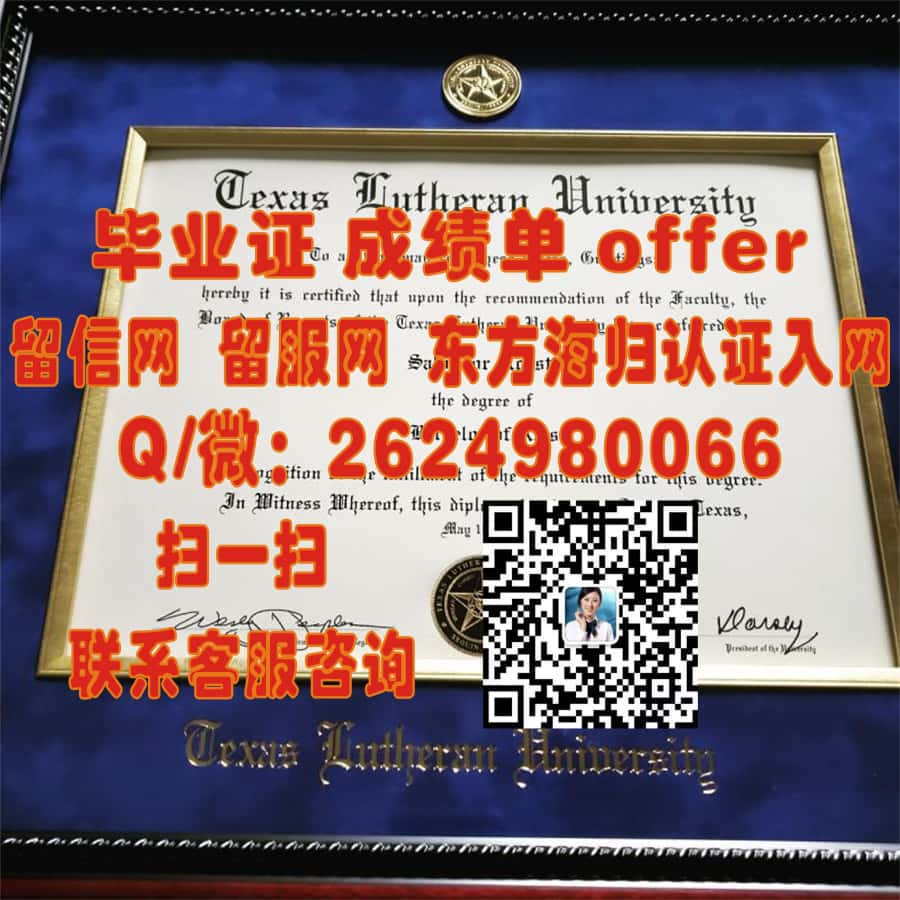 《揭秘伊尔梅瑙工业大学全新学位证样本：设计理念与创新亮点解析》