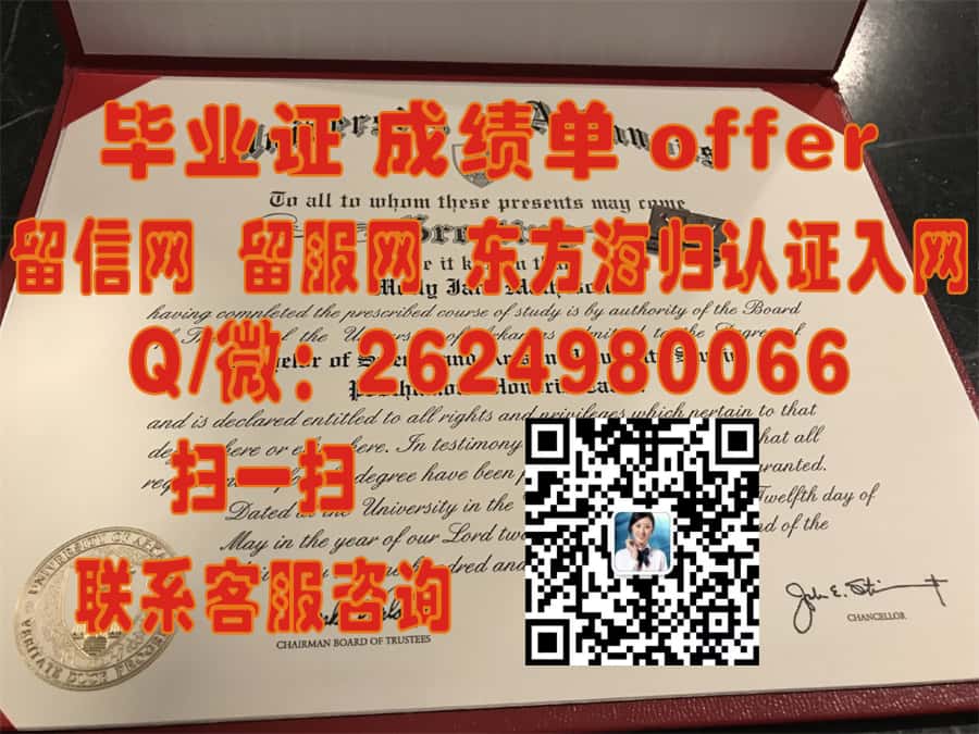 《揭秘里尔第一大学全新学位证样本：设计亮点与信息解析》