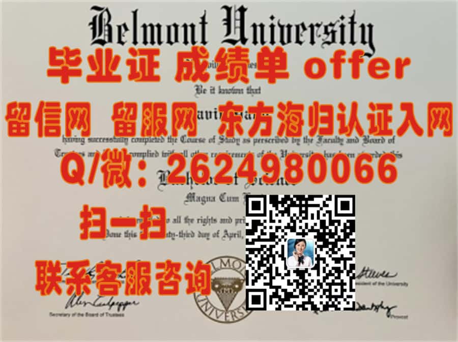 《揭秘巴布森学院学位证书样本：探索其独特设计与文化内涵》
