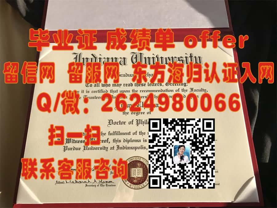 揭秘东北伊利诺斯大学学位证样本：探索全新设计背后的故事与细节