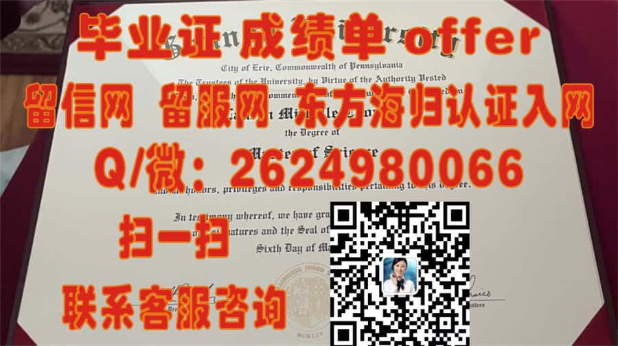 《揭秘宾州西盆斯贝格大学学位证书样本：新视角下的学术荣耀与教育传承》