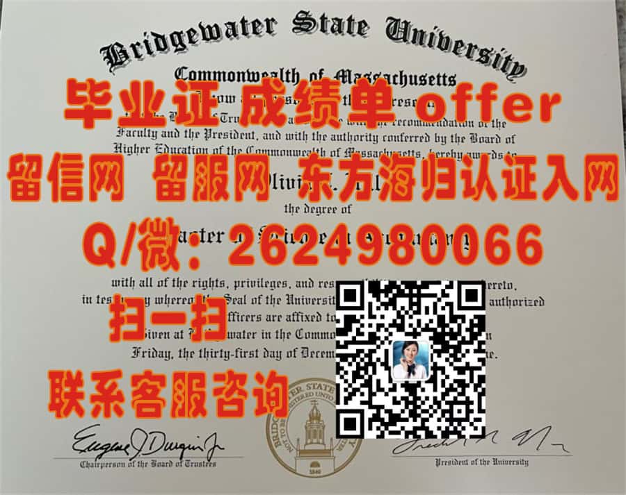 《揭秘圣马丁大学最新学位证样本：设计元素与创新细节大解析》