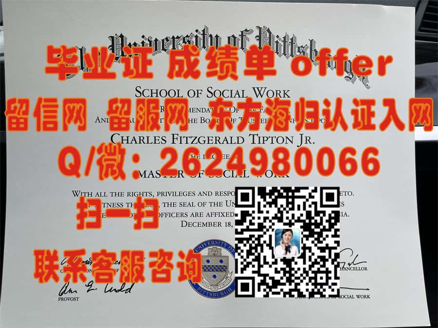 《揭秘马里兰大学东岸分校学位证书新样本：设计亮点与细节解析》