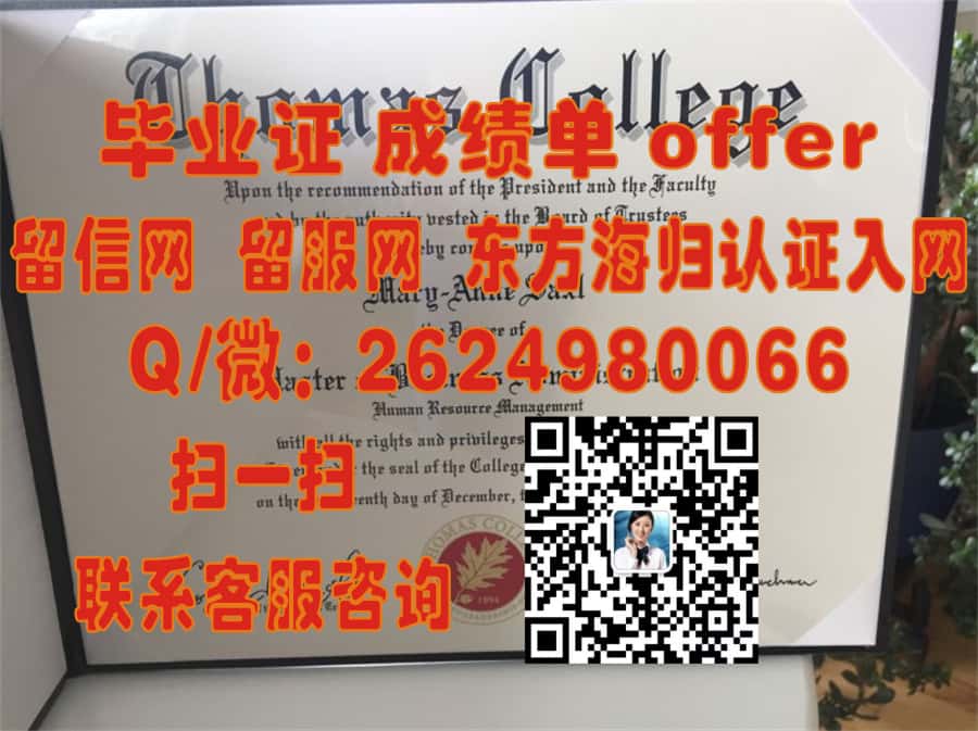 《梅努斯大学本科荣耀：毕业证书开启新篇章》