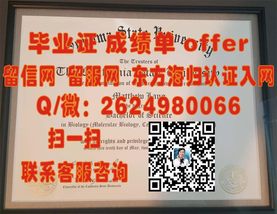 《南昆士兰大学本科荣耀：探索毕业生成就与未来展望》