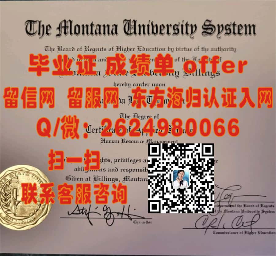 《从弗林德斯大学本科荣耀启航：探索毕业生的新篇章》