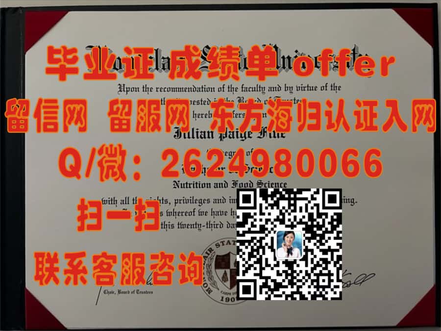 《柏林应用科学大学本科荣耀：成就非凡，开启全球未来之门》