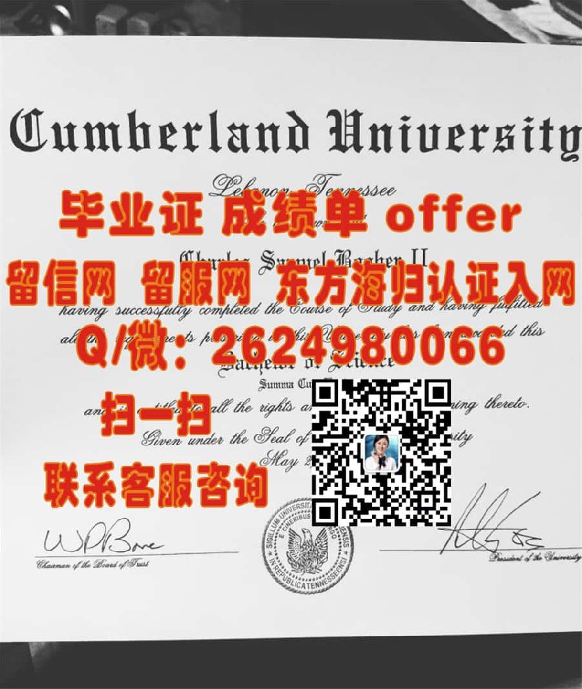 《安哈尔特高等专业学院本科荣耀：毕业证书开启新篇章》