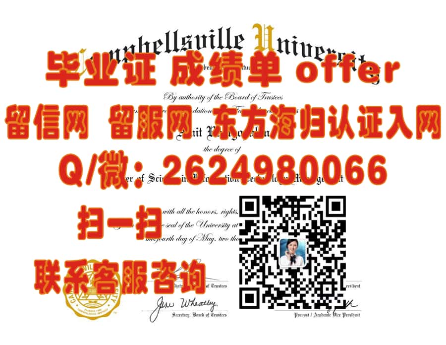 《慕尼黑工业大学本科荣耀：探索毕业证书背后的学术之旅》