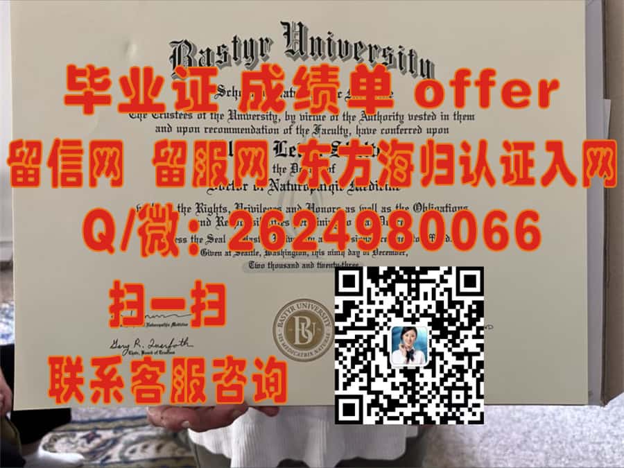 《伊尔梅瑙工业大学本科荣耀：探索毕业证背后的卓越教育之旅》