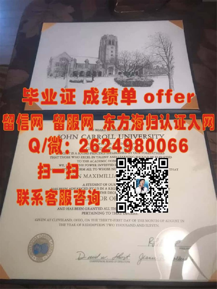 《法国巴黎第十一大学本科荣耀：成就非凡学术旅程的毕业证书解析》