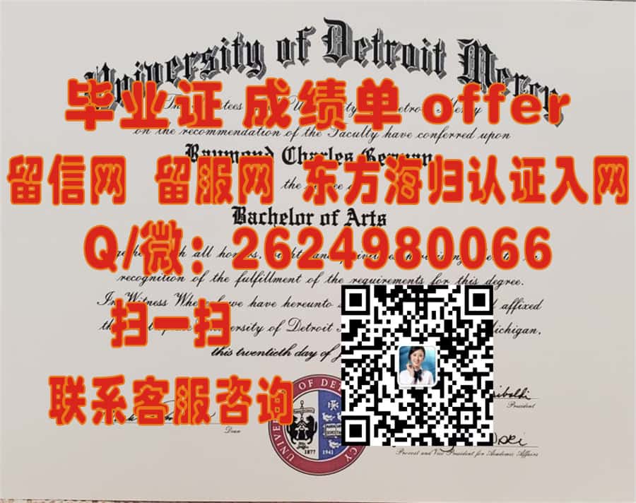《贝桑松大学本科荣耀：探索毕业生未来之路与成就》