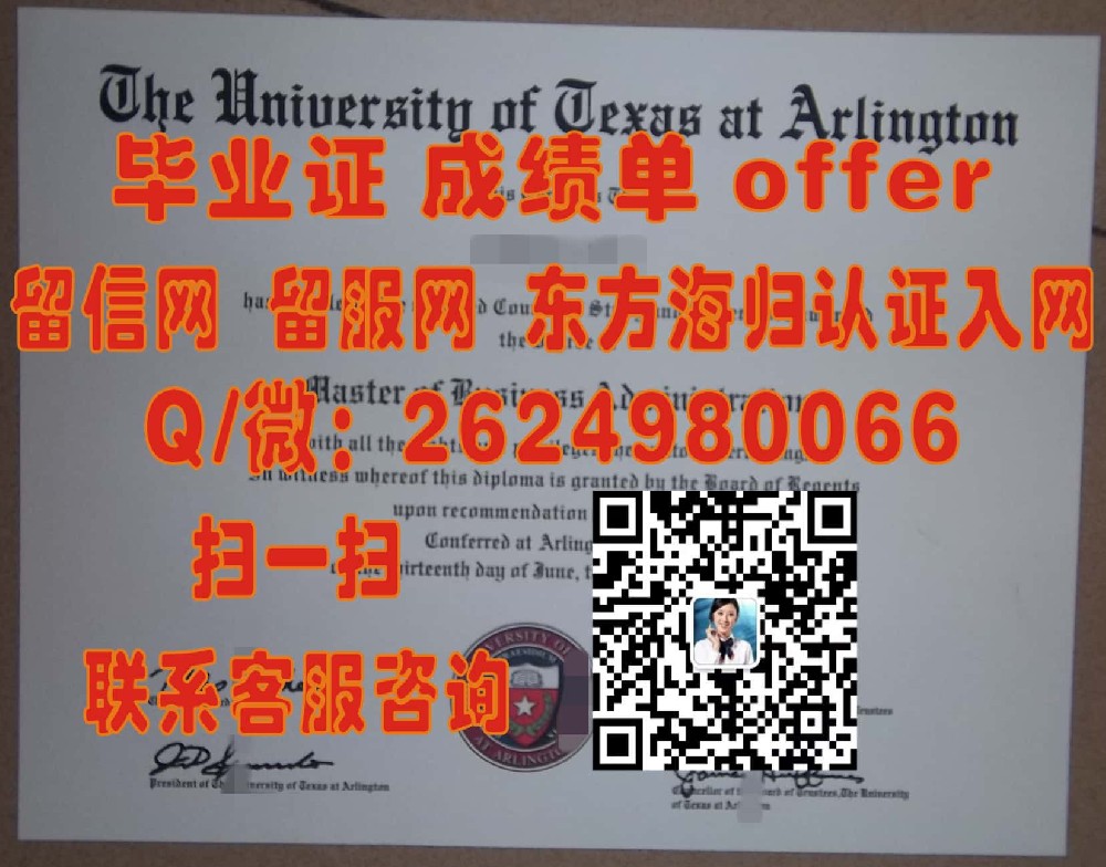 《从里尔第一大学本科殿堂出发：探索新篇章的荣誉毕业生》