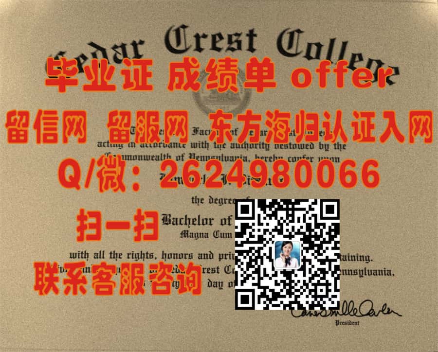 《图卢兹第三大学本科荣耀：毕业证书见证学术成就与留学生活篇章》