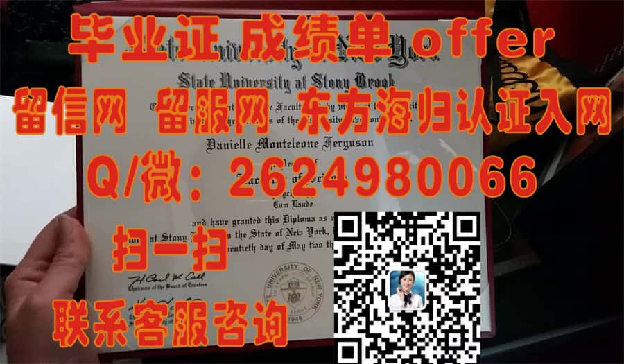 《从第戎大学本科荣耀毕业：探索法国精英教育的成果之路》