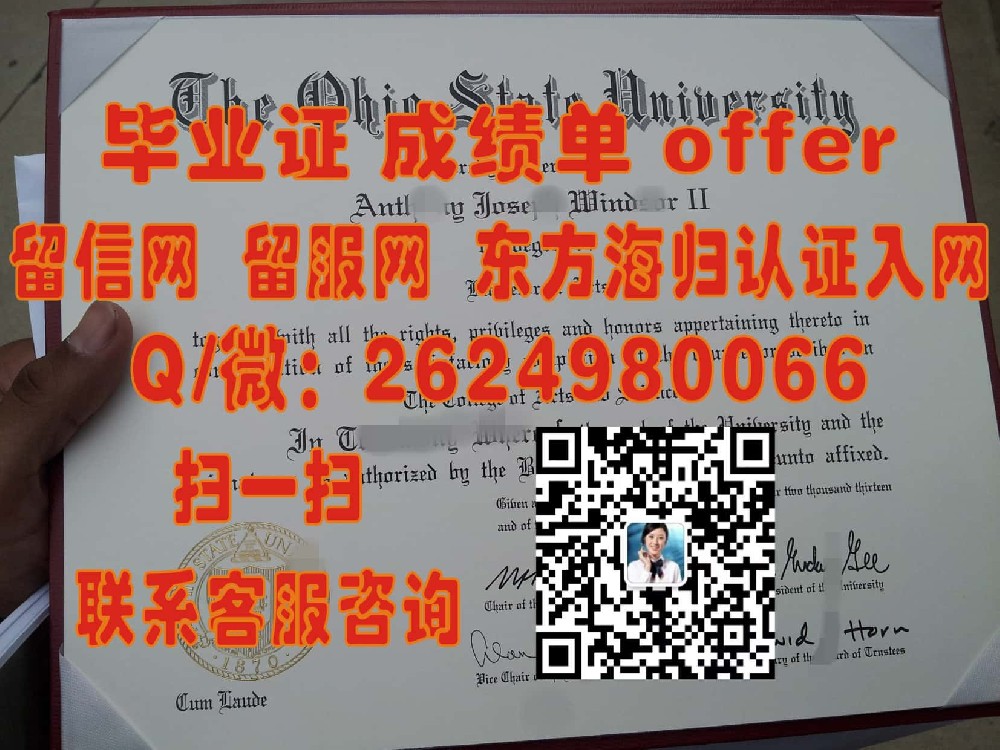 《揭秘西北密歇根学院毕业证样本：探索新样本背后的故事与设计细节》