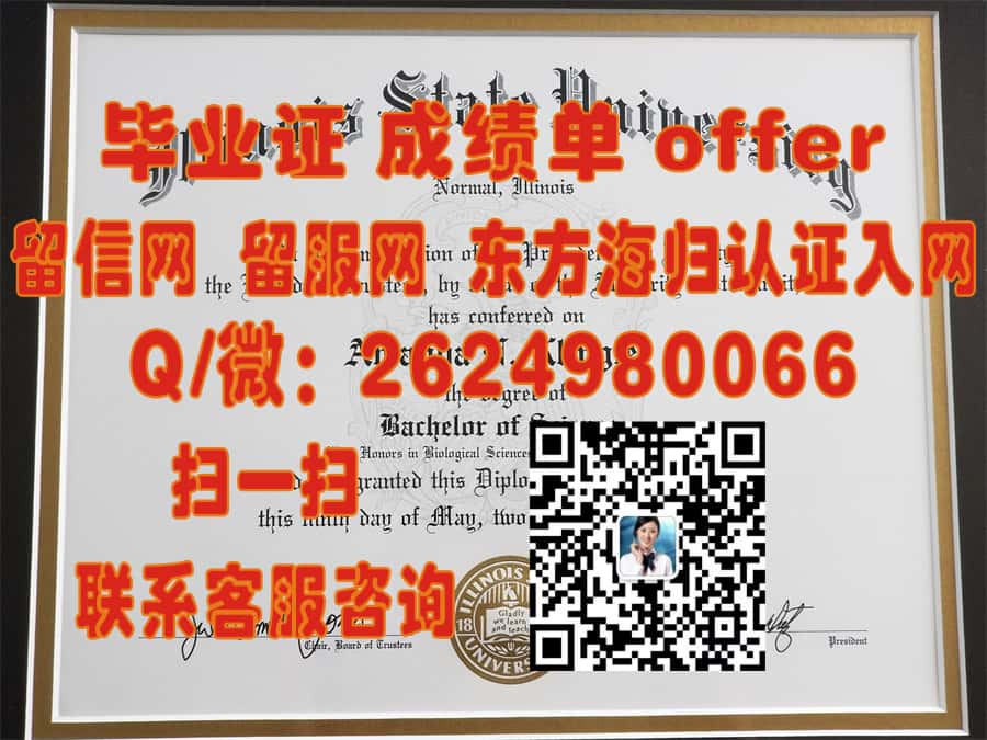 揭秘玛丽伍德大学毕业证样本：探索全新设计背后的教育理念与艺术魅力