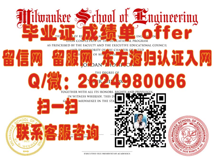 《揭秘德国不伦瑞克工业大学全新学位证书样本：设计亮点与信息解析》