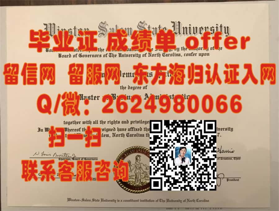 《揭秘里尔第一大学学位证样本创新设计：探索全新视觉艺术与学术成就融合》