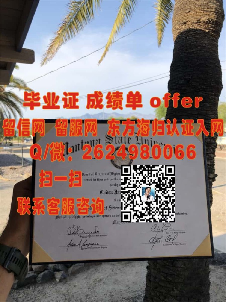 《揭秘蒙彼利埃大学全新学位证样本：设计理念与细节解析》